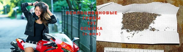 каннабис Заводоуковск