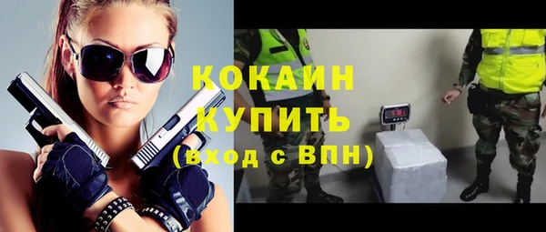 эйфоретик Ельня