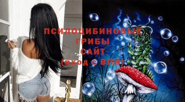 эйфоретик Ельня