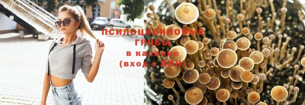 каннабис Заводоуковск