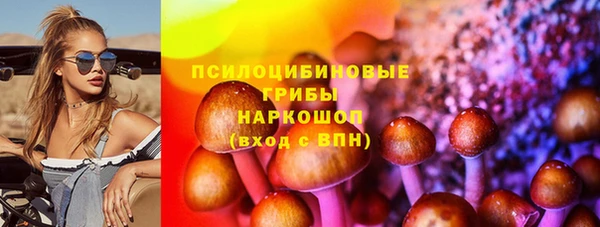 стаф Елизово