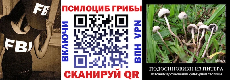 Галлюциногенные грибы Psilocybine cubensis  Купить где  Энем 